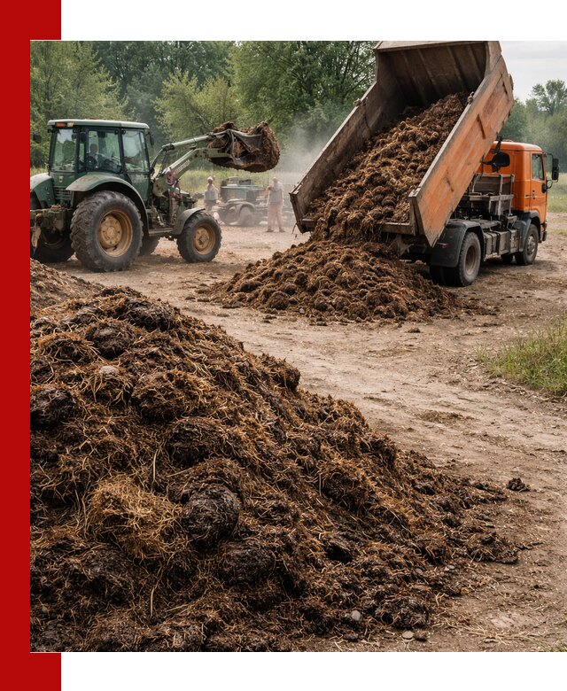 Доставка навоза самосвалами в Устях-Куте для сельхозпотребностей